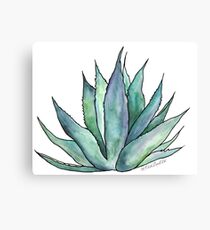 Aloe Vera Leinwanddruck