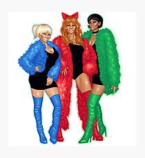 PPG Photographic Print