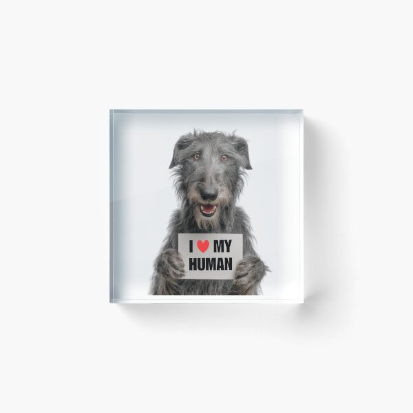 Item preview, Cute Scottish Deerhound dog with Signboard I love my Human  designed and sold by LazyOwlStore.