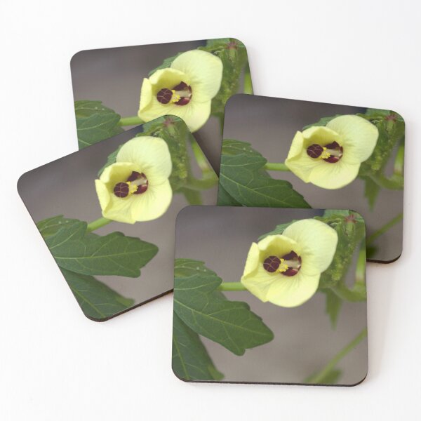 Item preview, Okra Flower designed and sold by MercerImages.