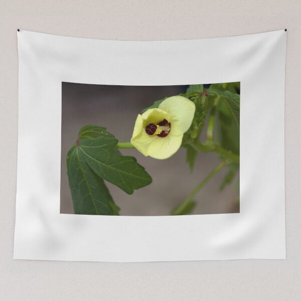 Item preview, Okra Flower designed and sold by MercerImages.