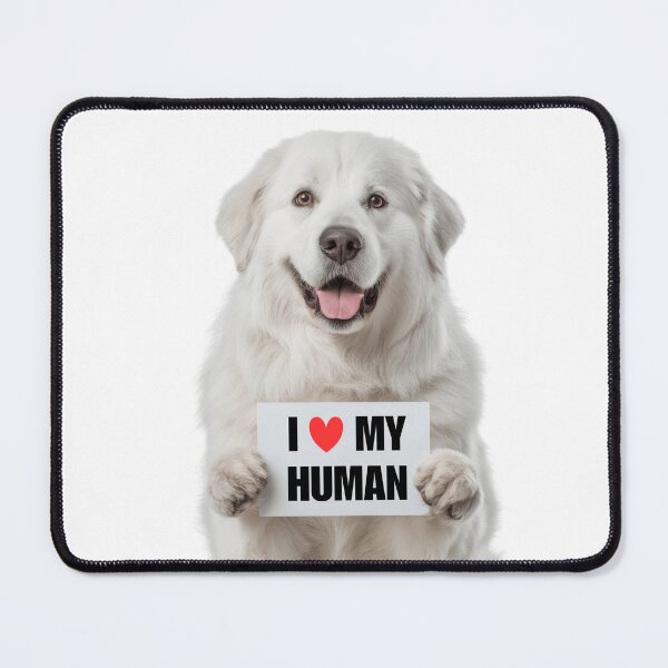 Item preview, Cute Kuvasz dog with Signboard I love my Human  designed and sold by LazyOwlStore.