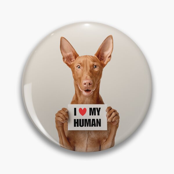 Item preview, Cute Pharaoh Hound dog with Signboard I love my Human  designed and sold by LazyOwlStore.