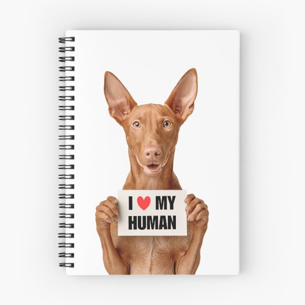 Item preview, Cute Pharaoh Hound dog with Signboard I love my Human  designed and sold by LazyOwlStore.