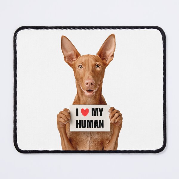 Item preview, Cute Pharaoh Hound dog with Signboard I love my Human  designed and sold by LazyOwlStore.
