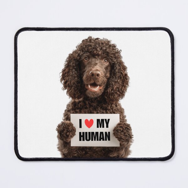 Item preview, Cute Irish Water Spaniel dog with Signboard I love my Human  designed and sold by LazyOwlStore.