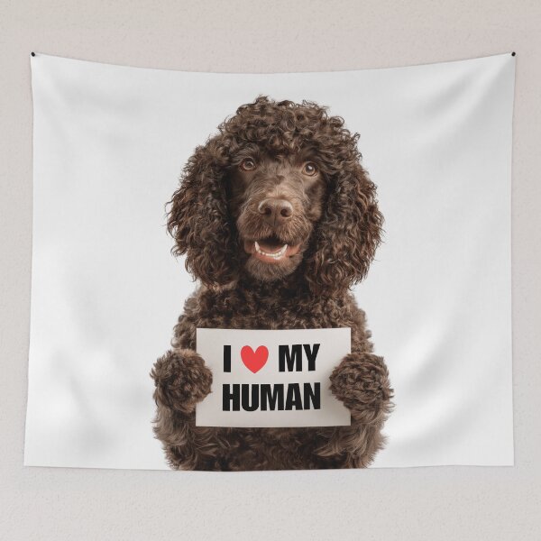 Item preview, Cute Irish Water Spaniel dog with Signboard I love my Human  designed and sold by LazyOwlStore.