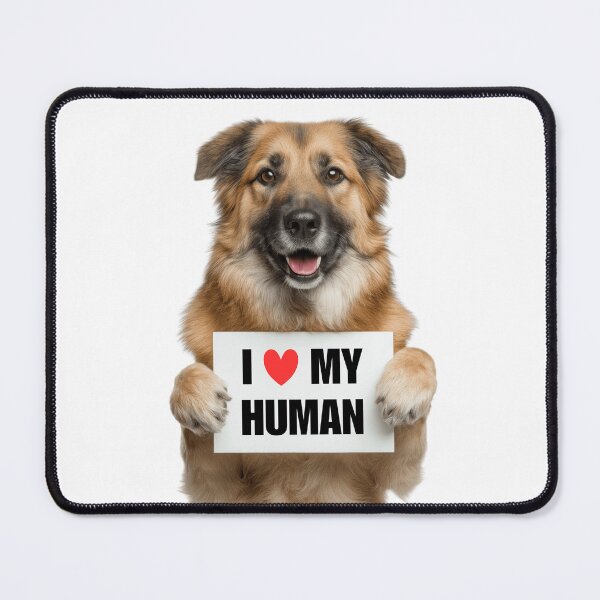 Item preview, Cute Chinook dog with Signboard I love my Human  designed and sold by LazyOwlStore.