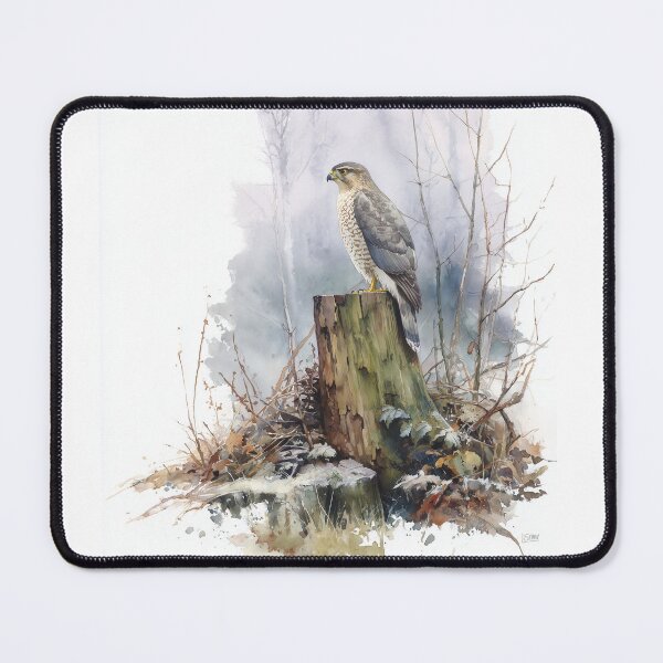 Item preview, Coopers Hawk Perched on Tree Stump designed and sold by laurashawart.