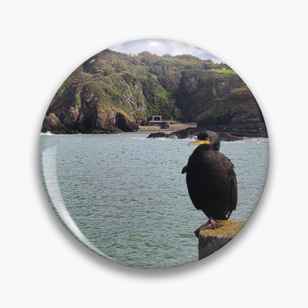 Item preview, The Ilfracombe Cormorant chilling - Ilfracombe, North Devon designed and sold by Love where you live.