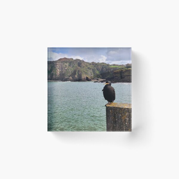 Item preview, The Ilfracombe Cormorant chilling - Ilfracombe, North Devon designed and sold by Love where you live.
