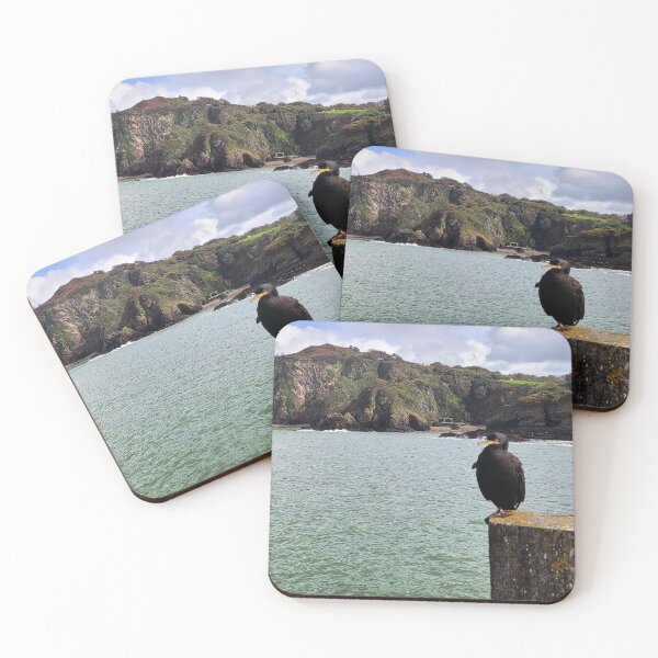 Item preview, The Ilfracombe Cormorant chilling - Ilfracombe, North Devon designed and sold by Love where you live.