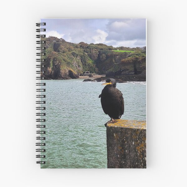 Item preview, The Ilfracombe Cormorant chilling - Ilfracombe, North Devon designed and sold by Love where you live.