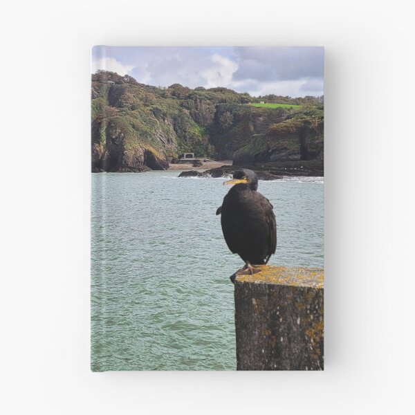 Item preview, The Ilfracombe Cormorant chilling - Ilfracombe, North Devon designed and sold by Love where you live.