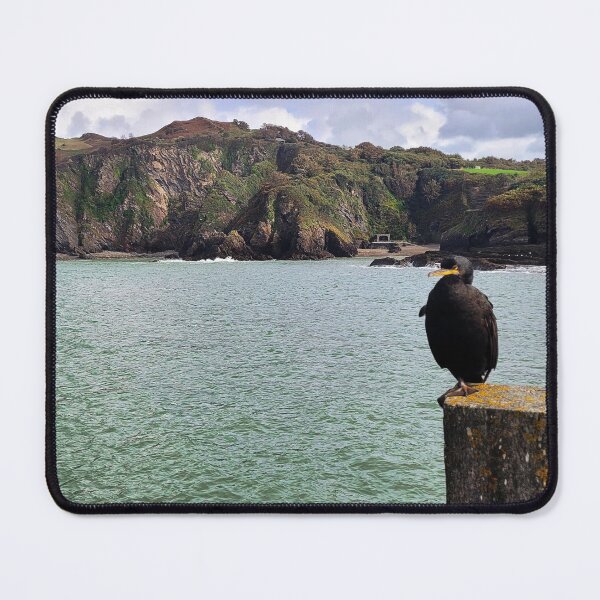Item preview, The Ilfracombe Cormorant chilling - Ilfracombe, North Devon designed and sold by Love where you live.