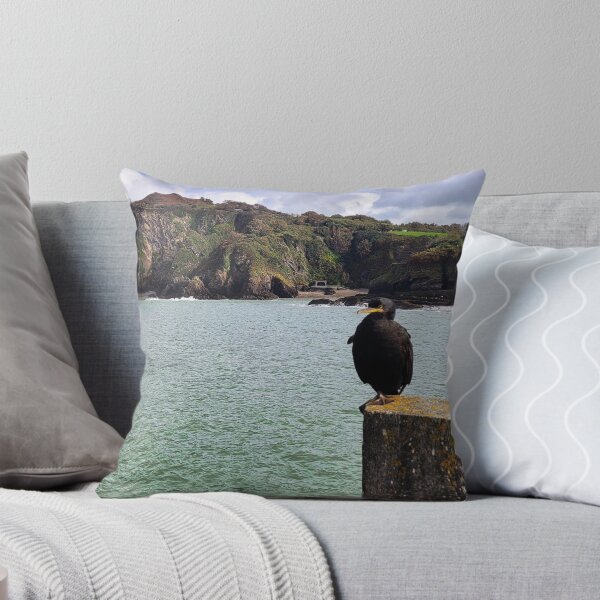 Item preview, The Ilfracombe Cormorant chilling - Ilfracombe, North Devon designed and sold by Love where you live.