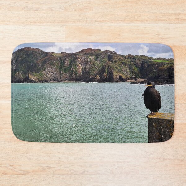 Artikelvorschau, Der Ilfracombe-Kormoran beim Chillen - Ilfracombe, Nord-Devon entworfen und verkauft von Love where you live.