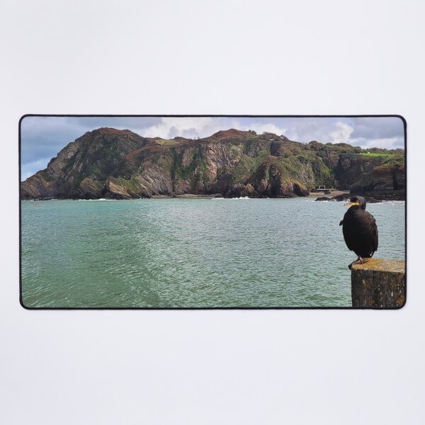 Item preview, The Ilfracombe Cormorant chilling - Ilfracombe, North Devon designed and sold by Love where you live.