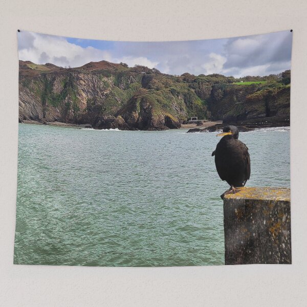 Artikelvorschau, Der Ilfracombe-Kormoran beim Chillen - Ilfracombe, Nord-Devon entworfen und verkauft von Love where you live.