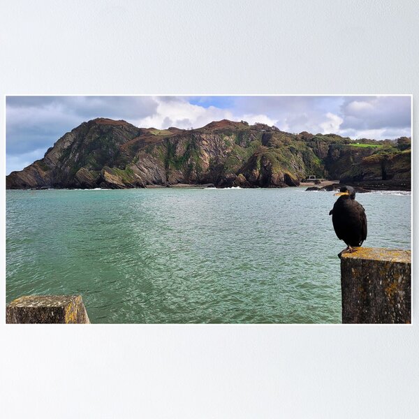 Item preview, The Ilfracombe Cormorant chilling - Ilfracombe, North Devon designed and sold by Love where you live.