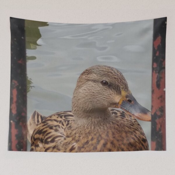 Item preview, Framed Ducks designed and sold by The Rage Garden.