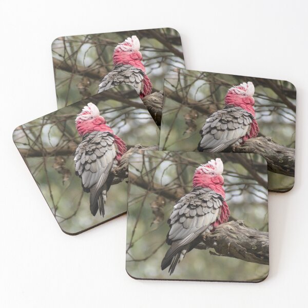 Item preview, Beautiful Pink Cockatoo Galah Bird designed and sold by Clayton Captures.