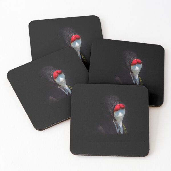 Item preview, Red Knobbed Coot 2 designed and sold by Ralph Goldsmith.