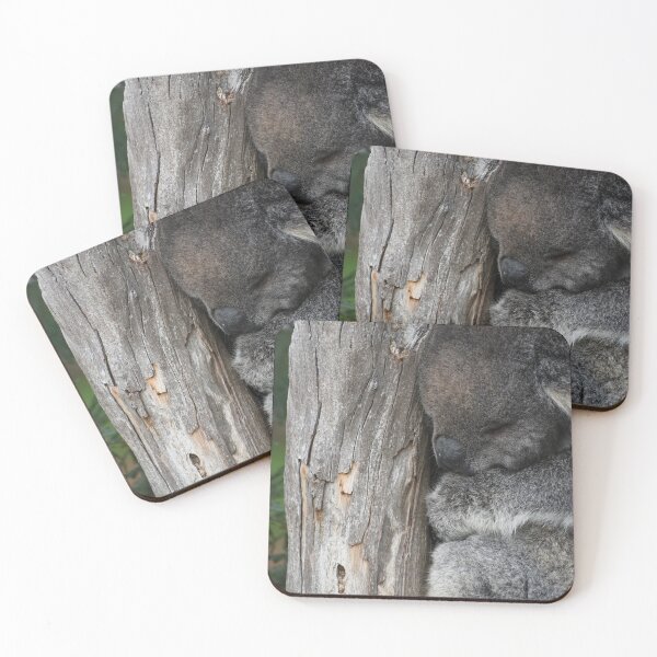 Item preview, Koala cuddling a tree while sleeping  designed and sold by Clayton Captures.