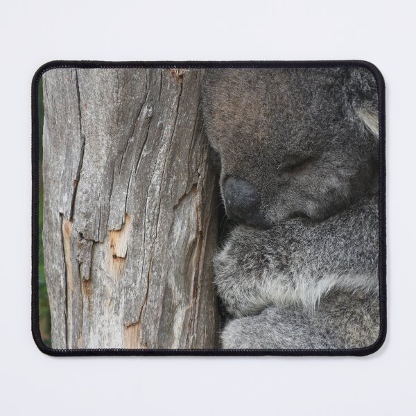 Item preview, Koala cuddling a tree while sleeping designed and sold by Clayton Captures.