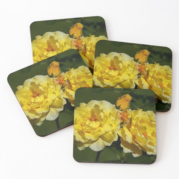 Item preview, Lichtkonigin Lucia yellow. Roses of the late summer series numer 34 designed and sold by Jouko Lehto Photography.