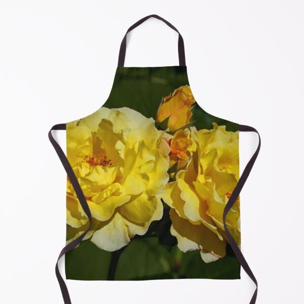 Item preview, Lichtkonigin Lucia yellow. Roses of the late summer series numer 34 designed and sold by Jouko Lehto Photography.