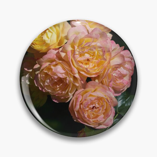 Item preview, Lampion for you. Roses of the late summer series number 38 designed and sold by Jouko Lehto Photography.