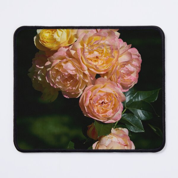 Item preview, Lampion for you. Roses of the late summer series number 38 designed and sold by Jouko Lehto Photography.