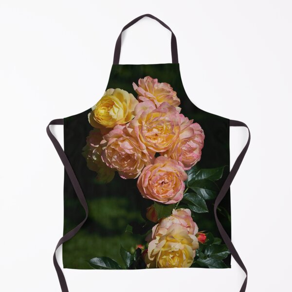 Item preview, Lampion for you. Roses of the late summer series number 38 designed and sold by Jouko Lehto Photography.