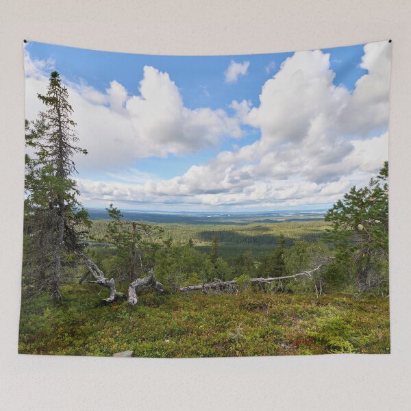 Item preview, Widescape. Valtavaara 2025 number 15 designed and sold by Jouko Lehto Photography.