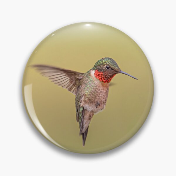 Item preview, Ruby-throated hummingbird hovering designed and sold by James Cumming.