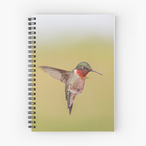 Item preview, Ruby-throated hummingbird hovering designed and sold by James Cumming.