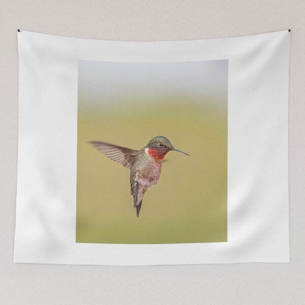 Item preview, Ruby-throated hummingbird hovering designed and sold by James Cumming.