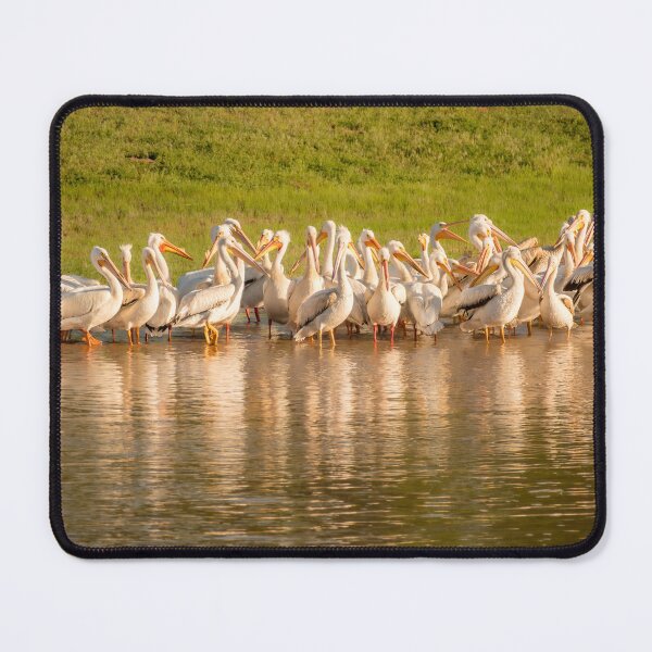 Item preview, Welcome To The Gathering designed and sold by Debra Martz.