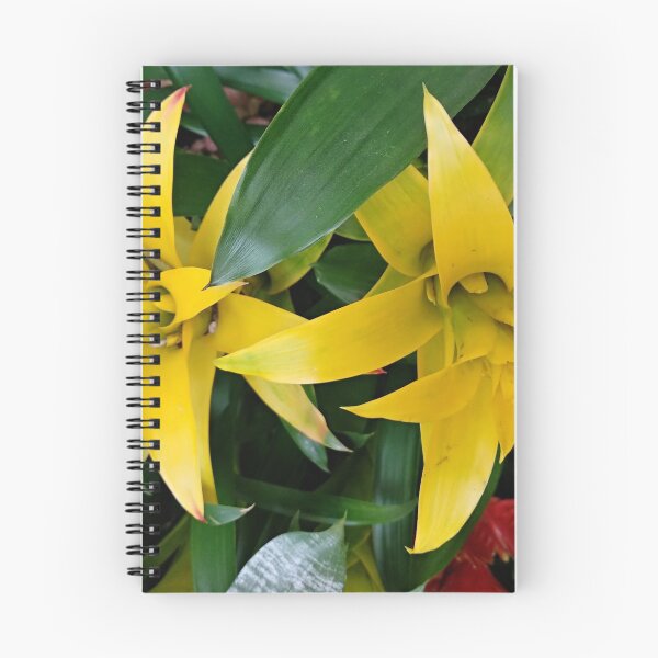 Item preview, Yellow guzmania tropical flower designed and sold by designer437.