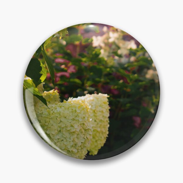Item preview, hydrangeas at my garden designed and sold by DPVisualsLV.