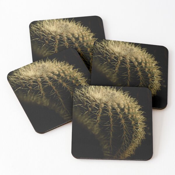 Item preview, Cactus on the daylight designed and sold by DPVisualsLV.