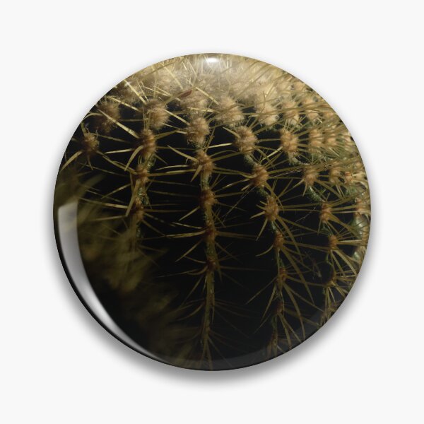 Item preview, Cactus on the daylight designed and sold by DPVisualsLV.