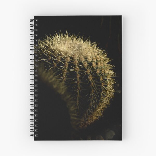 Item preview, Cactus on the daylight designed and sold by DPVisualsLV.