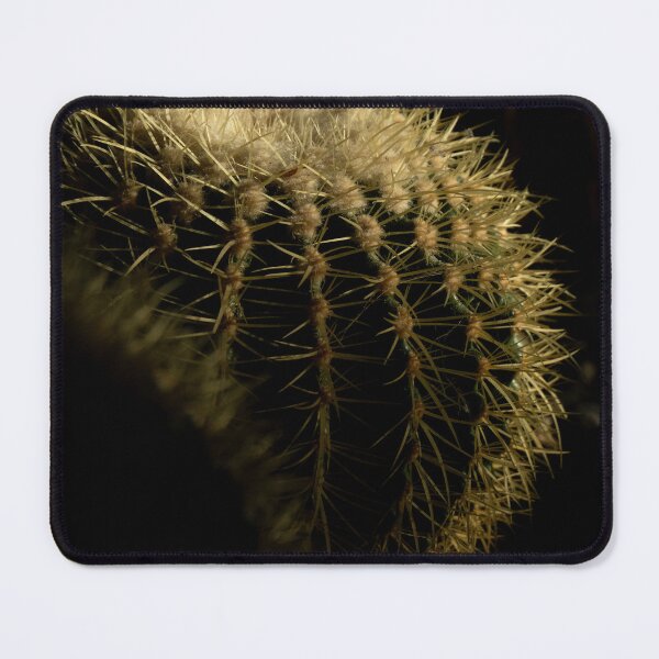 Item preview, Cactus on the daylight designed and sold by DPVisualsLV.