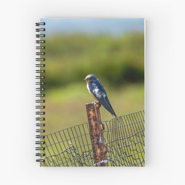 Item preview, Barn Swallow designed and sold by TinyDinoDesigns.