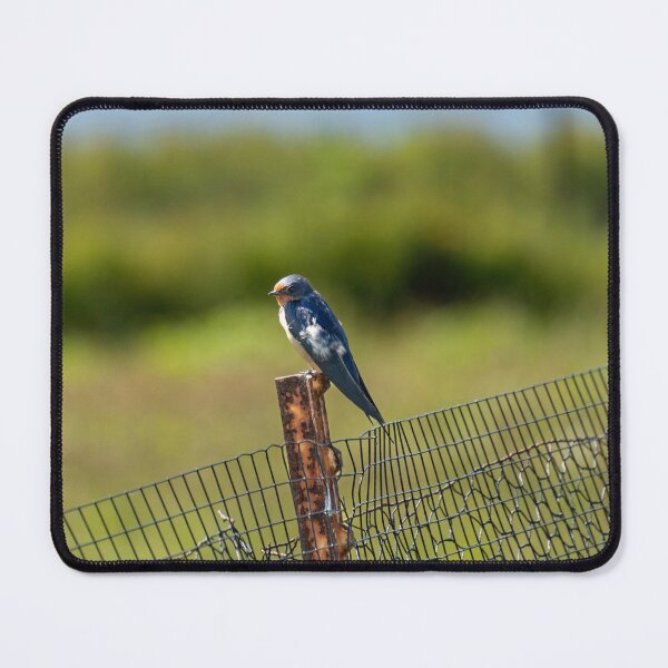 Item preview, Barn Swallow designed and sold by TinyDinoDesigns.