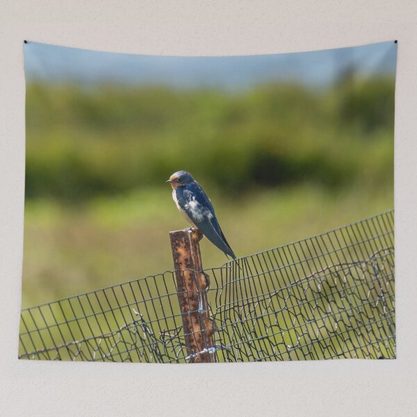 Item preview, Barn Swallow designed and sold by TinyDinoDesigns.