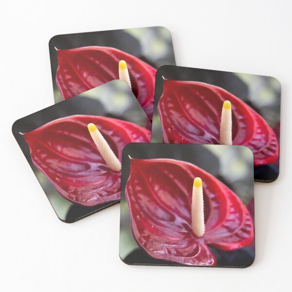 Item preview, Red flower at garden designed and sold by DPVisualsLV.