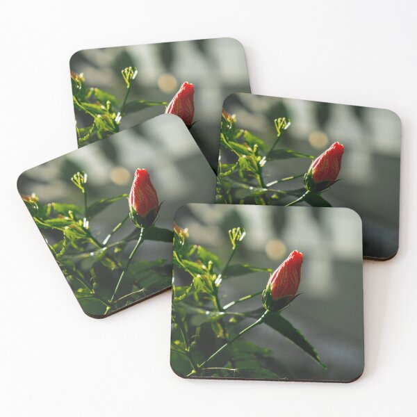 Item preview, Little rose at daylight designed and sold by DPVisualsLV.